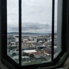 Wellington from the Carillon