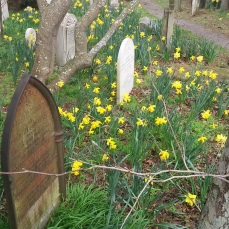 Bolton St Cemetery