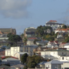 Mt Victoria houses and St Gerard's Monastery